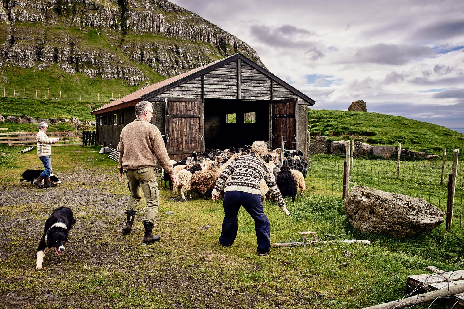 Gabriel-Nivera-Sheepherding-Photography-3